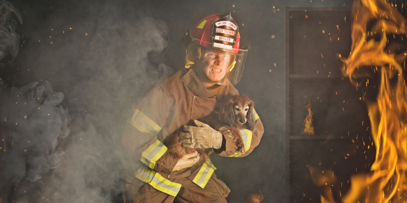 fire safety for pets, pet evacuation, house fire, pet owners, emergency planning, pet emergency, Animal Emergency & Referral Center of Minnesota