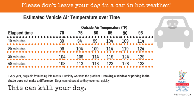 car temperatures, no pets in hot cars, heat safety, heat stroke, heat stress, heat exhaustion, pets, pet safety, summer safety for pets, emergency vet, er vet, heat stroke pets, heat stress pets, heat stroke dogs, heat kills, heat dangers, Animal Emergency & Referral Center of Minnesota