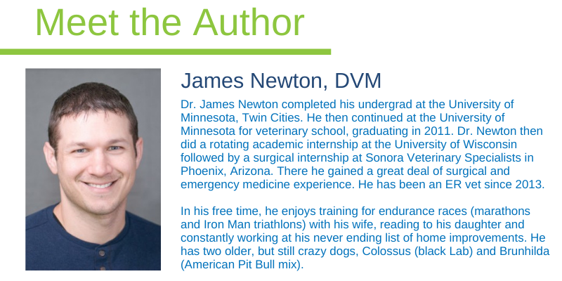 fire safety for pets, pet evacuation, house fire, pet owners, emergency planning, pet emergency, Animal Emergency & Referral Center of Minnesota