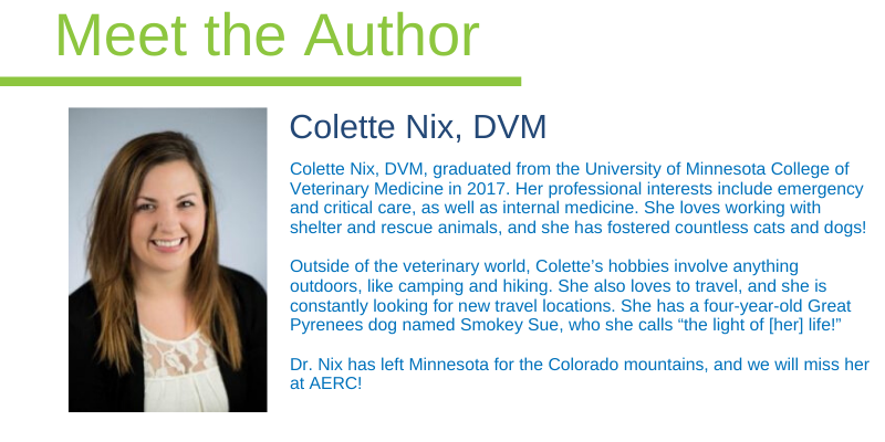 er vet, emergency veterinarian, pet-proof, pet safety, pet homes, pet toxins, pet poisons, protecting pets, pet prevention, pet owners, Animal Emergency & Referral Center of Minnesota, AERC, aercmn, emergency vet, Twin Cities vet, Twin Cities emergency vet, Minnesota emergency vet