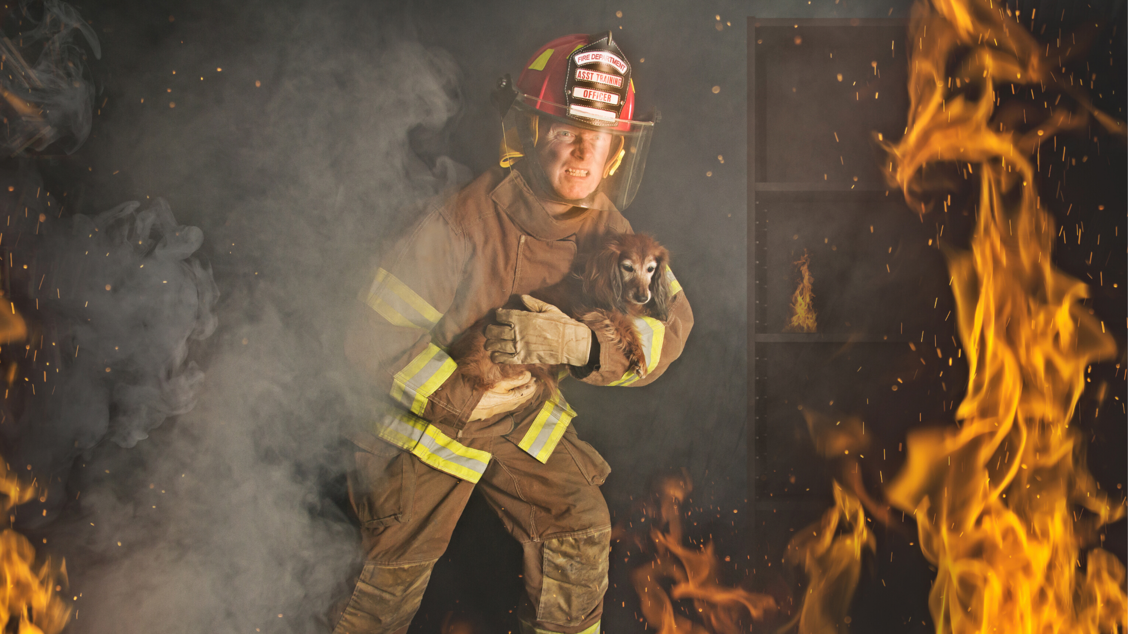 Pet Fire Safety: Preventing Pets from Causing House Fires