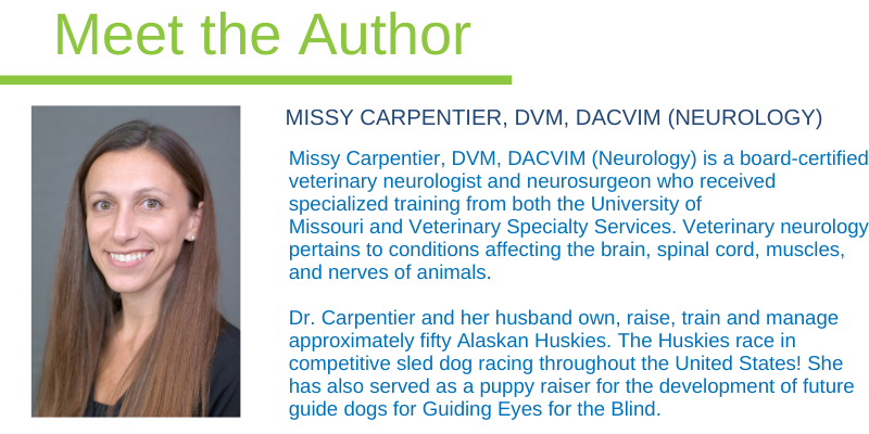 Missy Carpentier, DVM, DACVIM (Neurology), board-certified veterinary neurologist, board-certified veterinary neurosurgeon