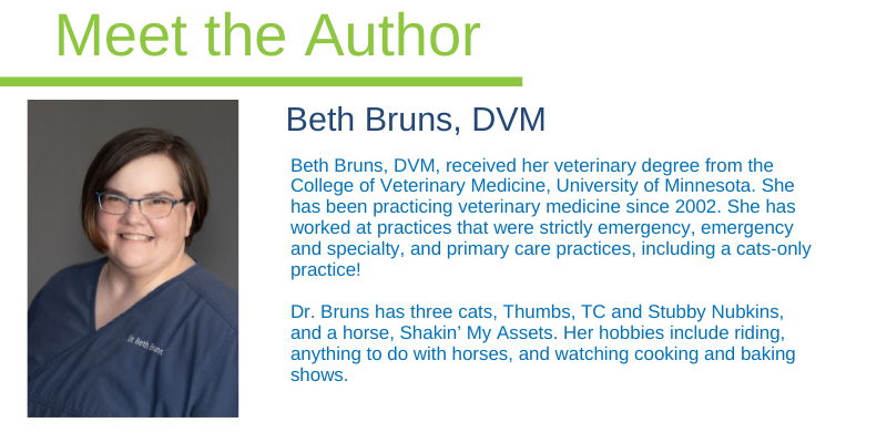 Dr. Bruns, ER vet, emergency veterinarian, Animal Emergency & Referral Center of Minnesota