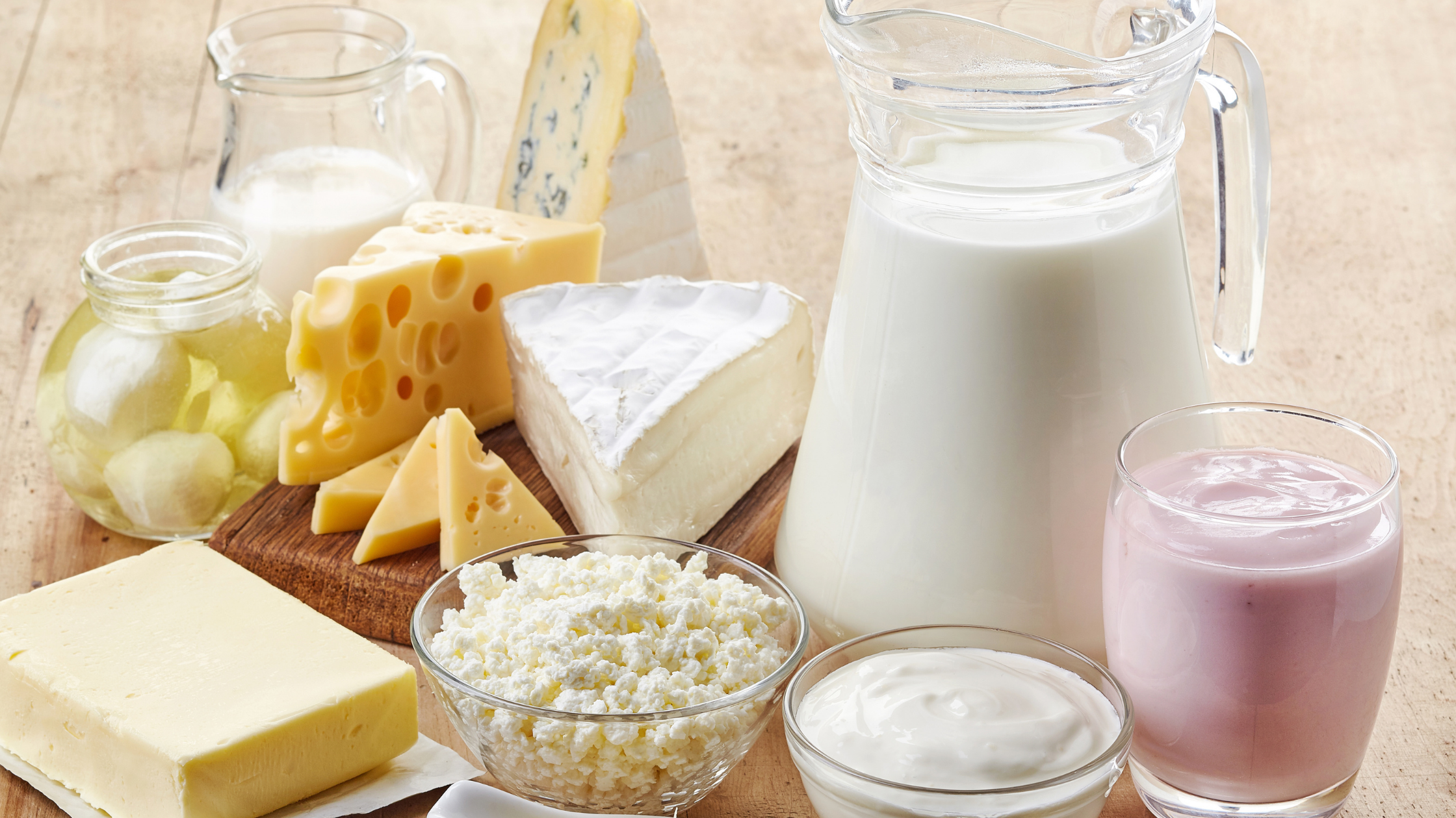 Can I Give My Dog and Cat Dairy Products?