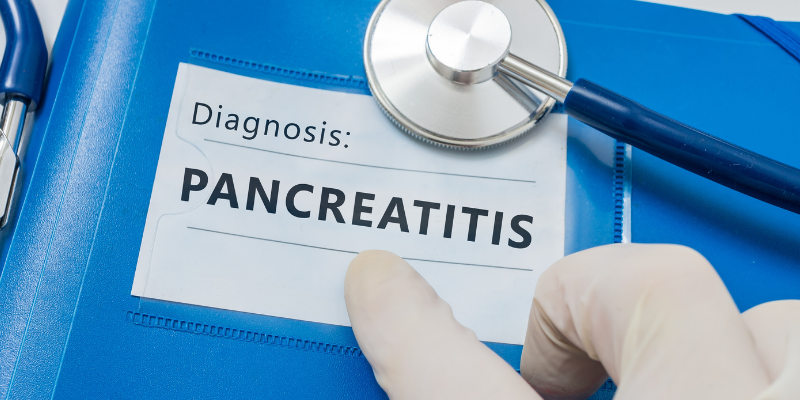 diagnosis, veterinary chart, gloved hand, stethoscope, pancreas, pancreatitis, pancreatitis in pets, pancreatitis in dogs, veterinary, pet health, veterinary medicine, Animal Emergency & Referral Center of Minnesota, veterinary care, emergency veterinarian