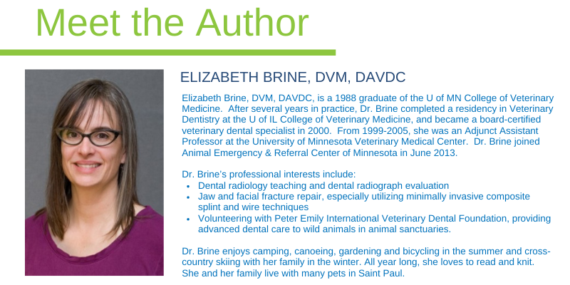 Animal Emergency & Referral Center of Minnesota, Elizabeth Brine, DVM, DAVDC