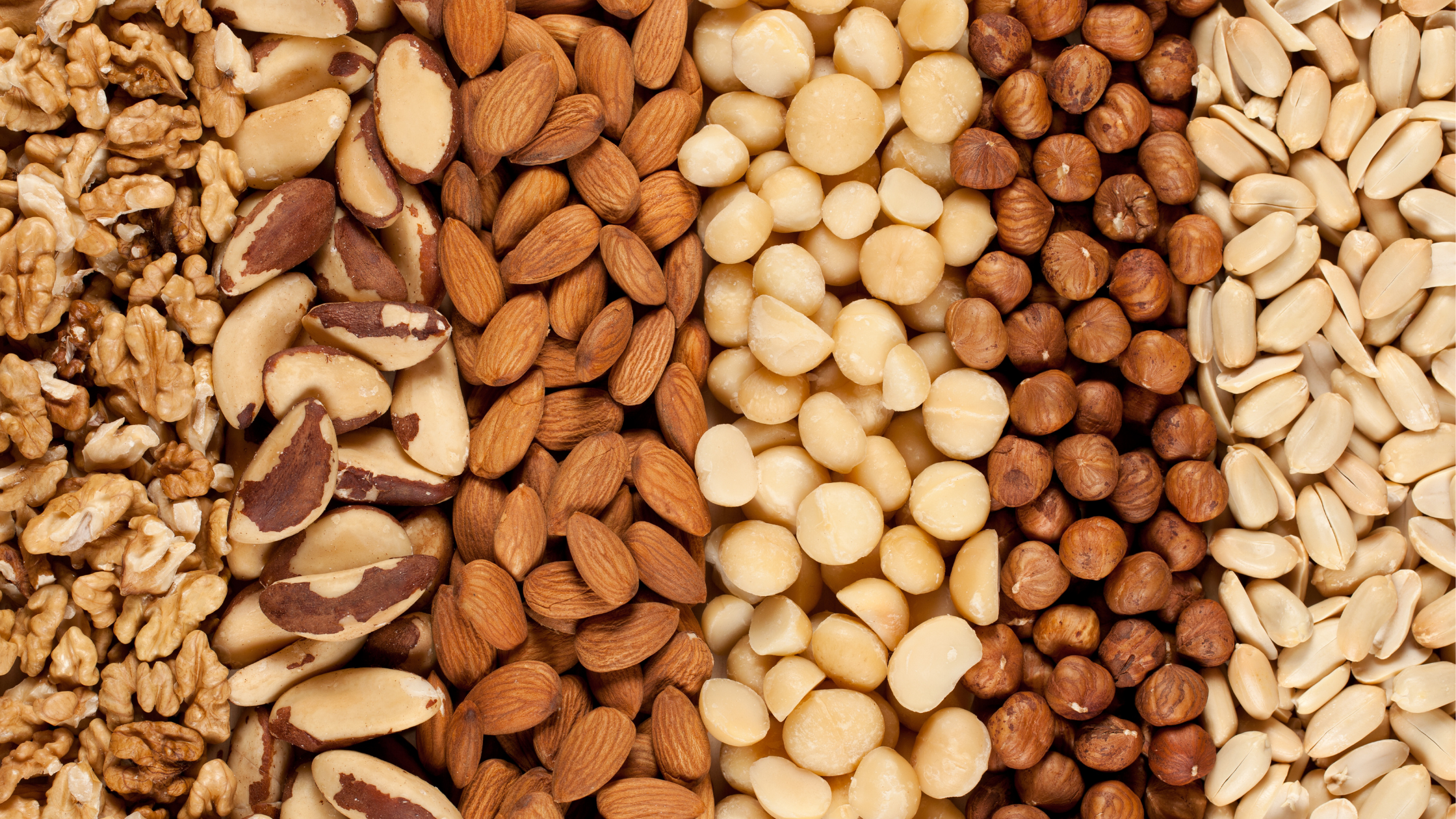 Can My Pet Eat Nuts?