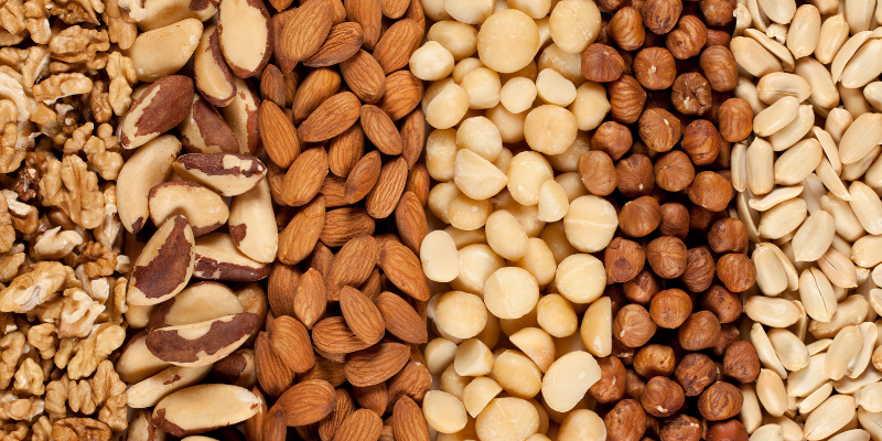 mixed nuts, nut toxicity, pet health, nut poisonings in pets, nut dangers in pets, Animal Emergency & Referral Center of Minnesota, emergency animal hospital, Twin Cities emergency animal hospital, Minnesota emergency animal hospital