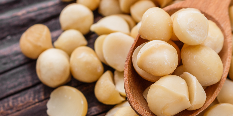 macadamia nuts, nut toxicity, pet health, nut poisonings in pets, nut dangers in pets, Animal Emergency & Referral Center of Minnesota, emergency animal hospital, Twin Cities emergency animal hospital, Minnesota emergency animal hospital