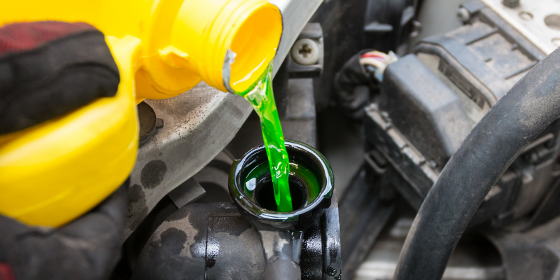 engine coolant, coolant, car, under hood, antifreeze, ethylene glycol, 2. Propylene Glycol, Methanol, antifreeze poisoning in pets, antfreeze poisoning in dogs, antifreeze poisoning in cats, antifreeze toxicity, Ethylene Glycol poisoning, Ethylene Glycol toxicity, pet emergency, pet toxins, Animal Emergency & Referral Center of Minnesota, Twin Cities emergency animal hospital, Saint Paul emergency vet, Oakdale emergency vet, pet health