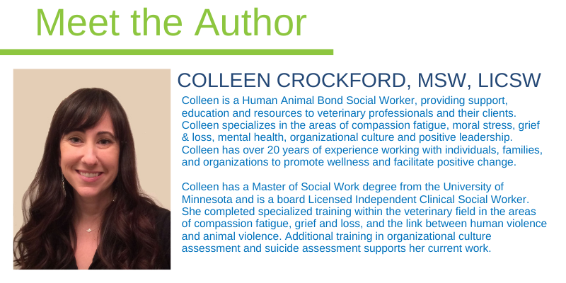 Colleen Crockford, MSW, LICSW 