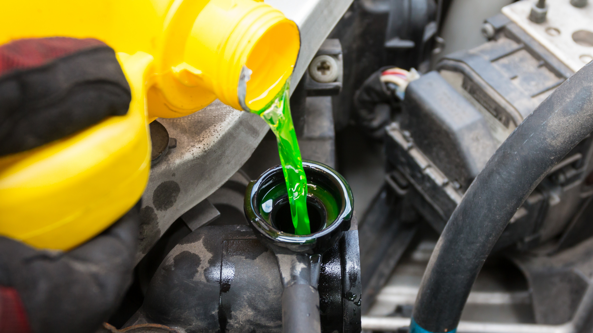 Antifreeze Poisoning in Pets