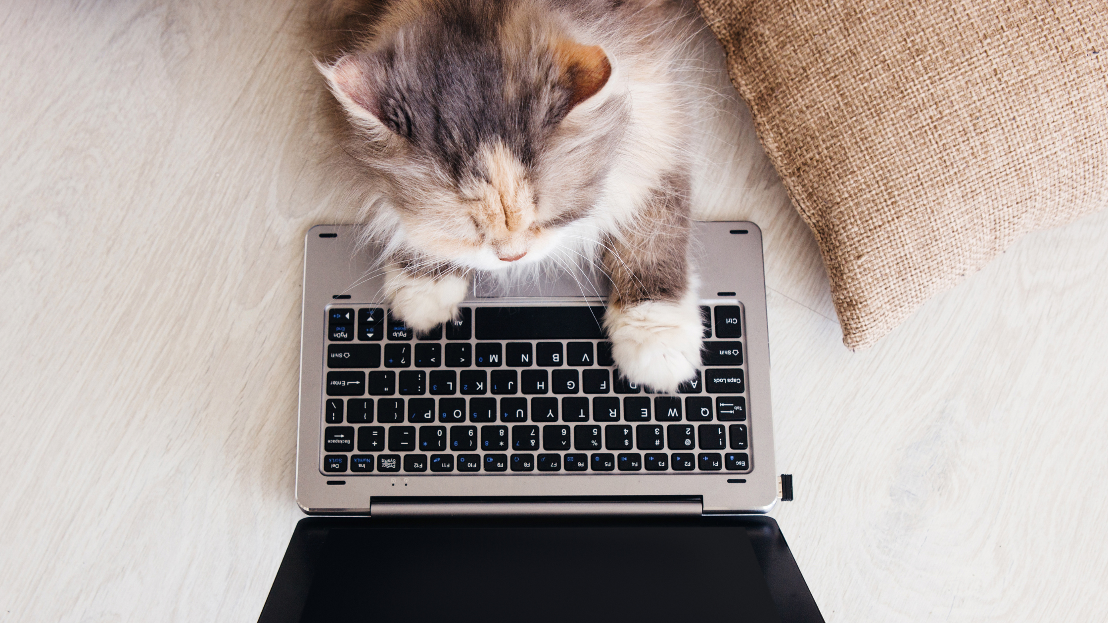 AERC’s Top 10 Blogs of 2020