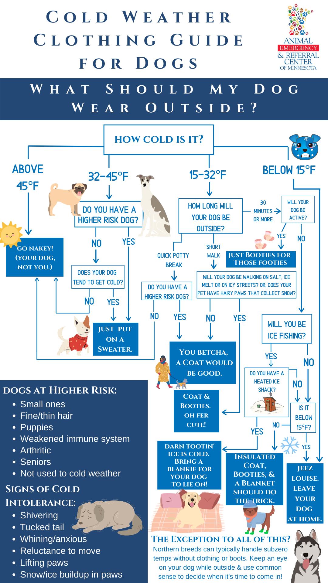 A flow chart with tips on how to dress your pet when going outside based on the temperature.