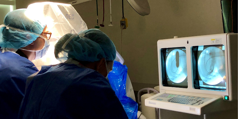 heart surgery, pet heart health, heart health, American Heart Month, veterinary cardiology, veterinary medicine, AERC Cardiology Service, Animal Emergency & Referral Center of Minnesota, board-certified veterinary cardiologist, Twin Cities veterinary cardiology, Saint Paul veterinary cardiology, Oakdale veterinary cardiology, cardiology for cats, cardiology for dogs