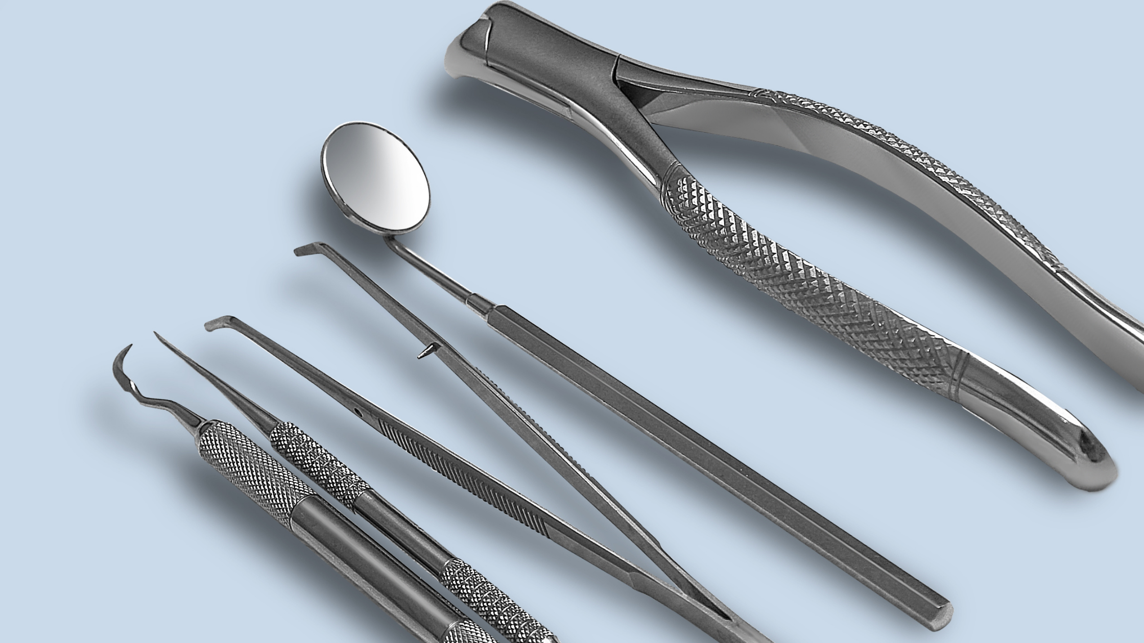 The Importance of Routine Dental Care for Your Pet