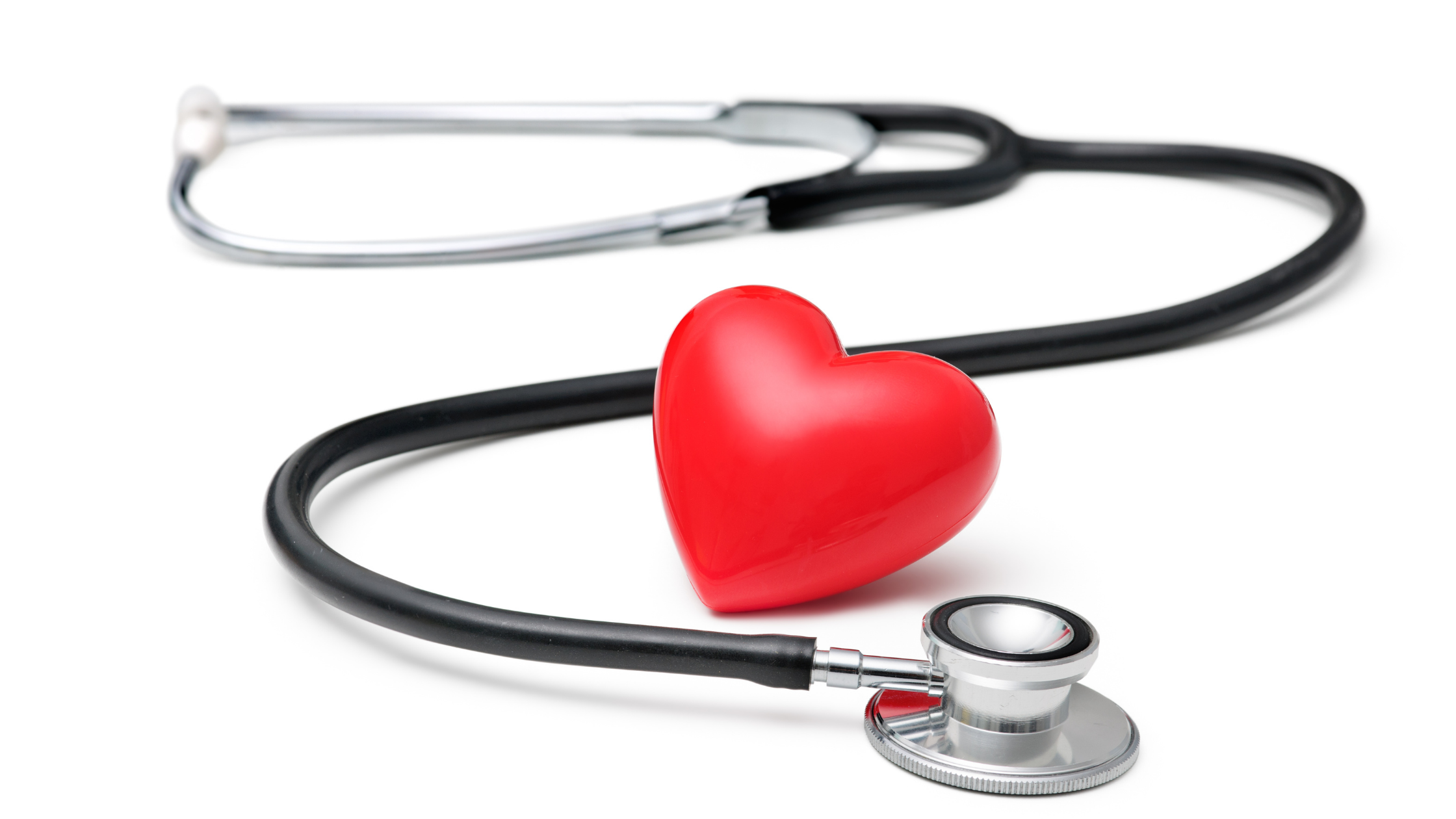 My Pet’s Heart Health: 5 Most Common Questions & Answers