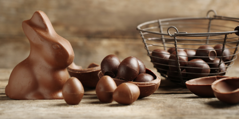 Easter chocolate, chocolate bunny, chocolate eggs, Easter pet dangers, Easter pet hazards, Easter pet toxins, Easter pet safety, pet owners, pet parents, holiday pet dangers, pet emergency, Animal Emergency & Referral Center of Minnesota, St. Paul emergency vet, Oakdale emergency vet, emergency veterinarian, Twin Cities emergency vet, Minnesota emergency vet