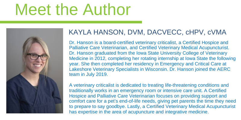 Kayla Hanson, DVM, DACVECC, cHPV, cVMA, Animal Emergency & Referral Center of Minnesota