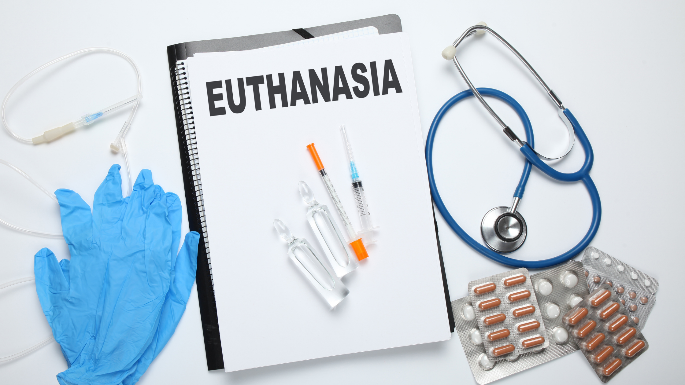 Pet Euthanasia:  Making the Difficult Decision