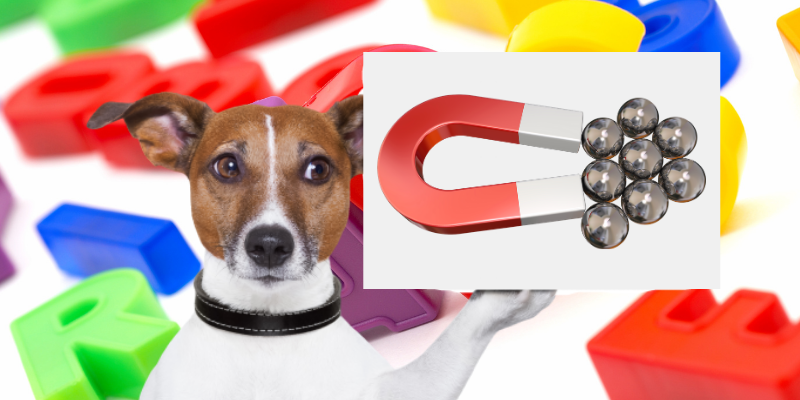 magnets, dog, household pet toxins, household pet dangers, household pet hazards, common pet toxins, common pet hazards, Animal Emergency & Referral Center of Minnesota, Twin Cities emergency vet, Saint Paul emergency vet, Oakdale emergency vet, Minnesota emergency vet, pet owners, pet parents