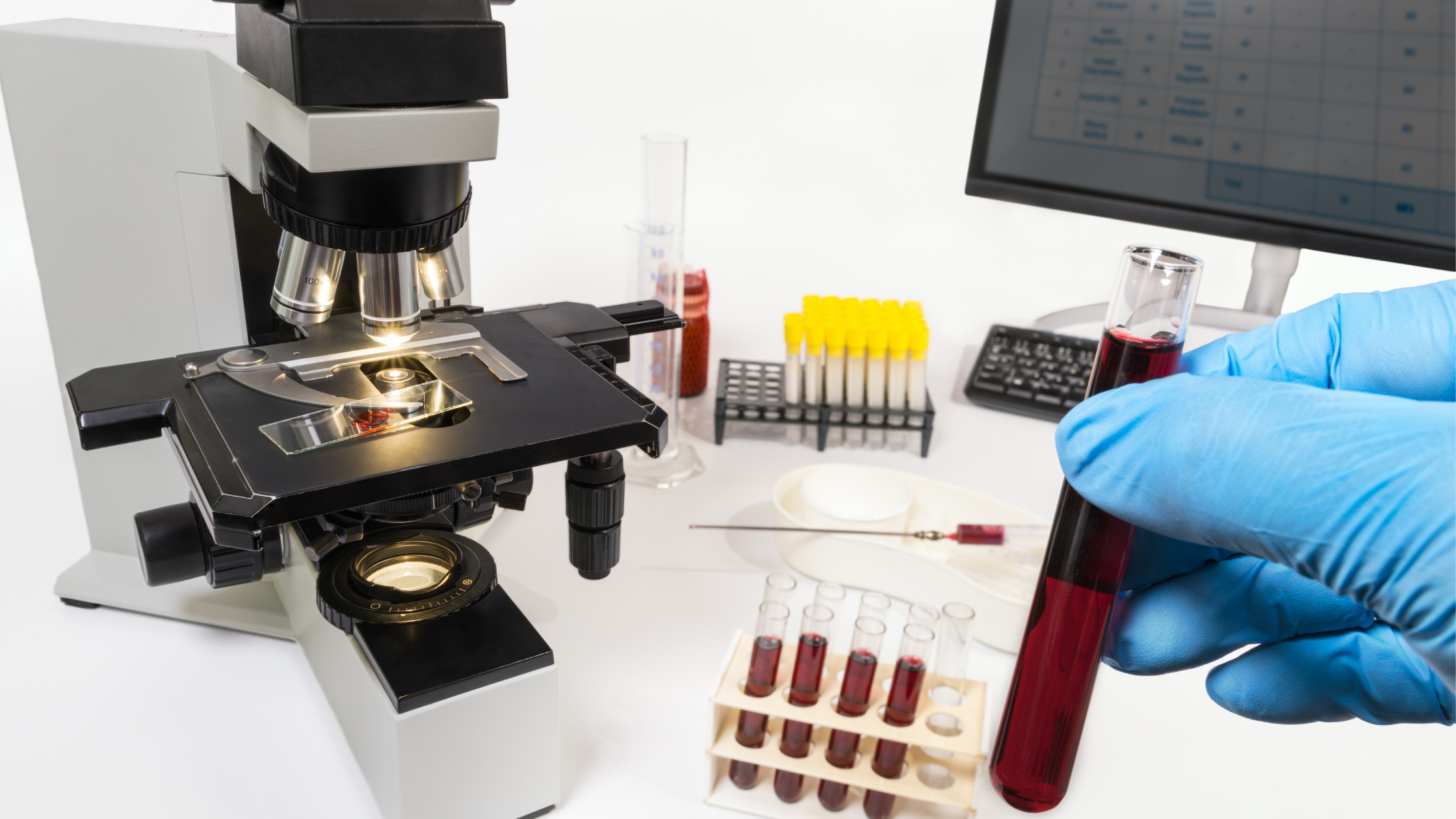 Early Detection of Cancer in Dogs and Cats: 5 Things Pet Owners Can Do