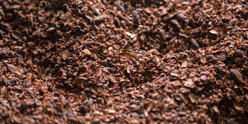 cocoa bean shells, cocoa bean husks, cocoa bean mulch, gardening safety for pet owners, gardening toxins for pets, pet toxins, pet toxins in the garden, pet hazards in the garden, garden safety for pets, Animal Emergency & Referral Center of Minnesota, Twin Cities emergency vet, Oakdale emergency vet, St. Paul emergency vet, spring pet toxins, spring pet hazards