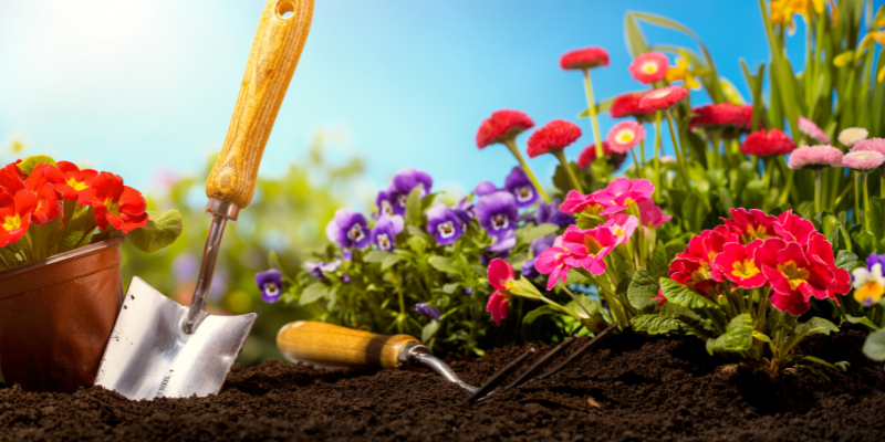 flowers, gardening tools, gardening safety for pet owners, gardening toxins for pets, pet toxins, pet toxins in the garden, pet hazards in the garden, garden safety for pets, Animal Emergency & Referral Center of Minnesota, Twin Cities emergency vet, Oakdale emergency vet, St. Paul emergency vet, spring pet toxins, spring pet hazards