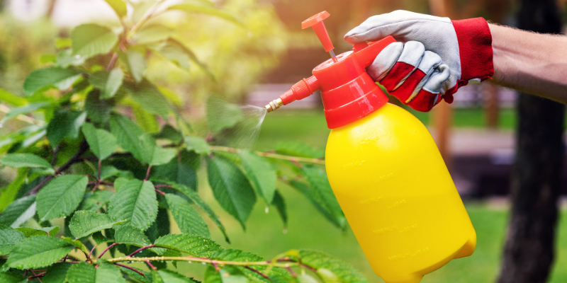 chemical sprays, gardening safety for pet owners, gardening toxins for pets, pet toxins, pet toxins in the garden, pet hazards in the garden, garden safety for pets, Animal Emergency & Referral Center of Minnesota, Twin Cities emergency vet, Oakdale emergency vet, St. Paul emergency vet, spring pet toxins, spring pet hazards