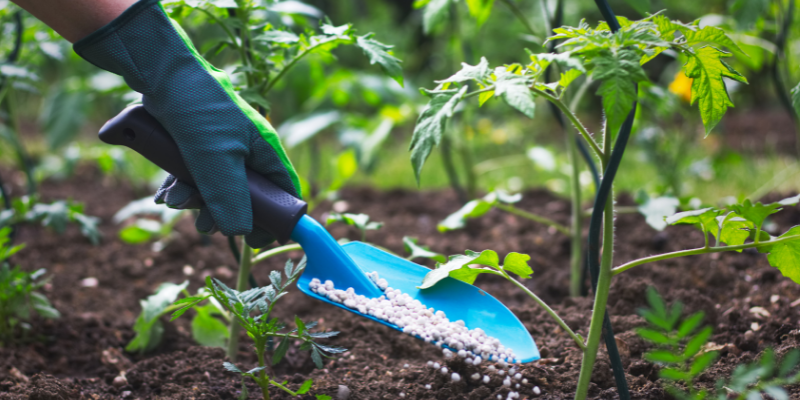 fertilizer, gardening safety for pet owners, gardening toxins for pets, pet toxins, pet toxins in the garden, pet hazards in the garden, garden safety for pets, Animal Emergency & Referral Center of Minnesota, Twin Cities emergency vet, Oakdale emergency vet, St. Paul emergency vet, spring pet toxins, spring pet hazards