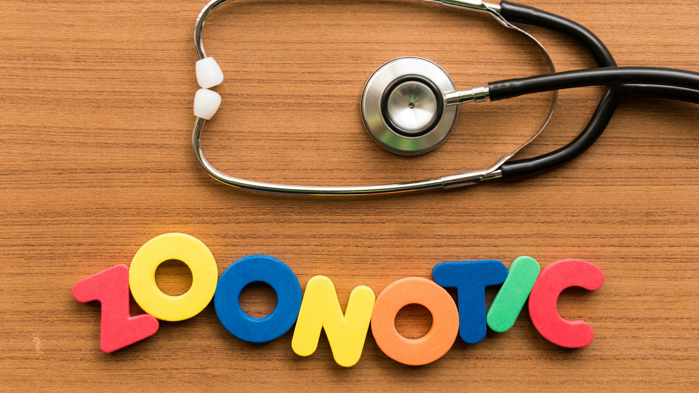 Zoonotic Diseases in Dogs & Cats