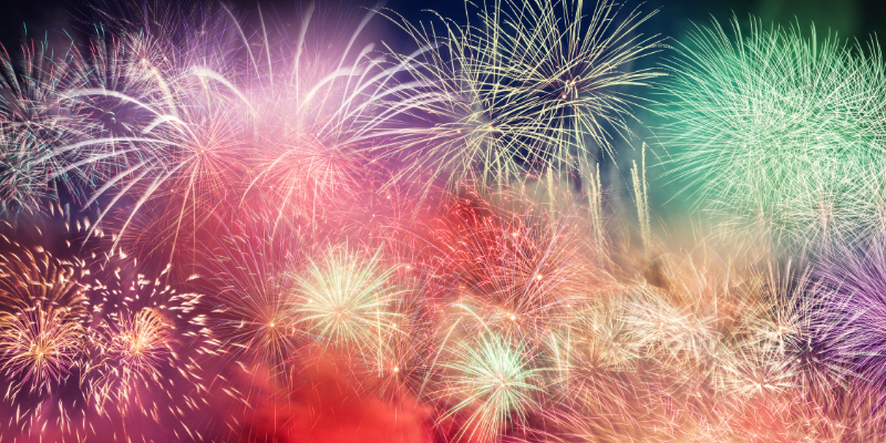 fireworks, pet safety, pet dangers, fireworks safety for pet owners, Fourth of July, Fourth of July pet dangers, Fourth of July pet safety, no fireworks for pets, Twin Cities emergency vet, Animal Emergency & Referral Center of Minnesota, Saint Paul animal emergency hospital, Oakdale animal emergency hospital, veterinary, pet health