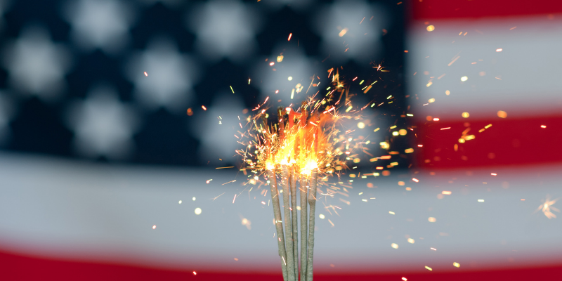 sparklers, fireworks, pet safety, pet dangers, fireworks safety for pet owners, Fourth of July, Fourth of July pet dangers, Fourth of July pet safety, no fireworks for pets, Twin Cities emergency vet, Animal Emergency & Referral Center of Minnesota, Saint Paul animal emergency hospital, Oakdale animal emergency hospital, veterinary, pet health