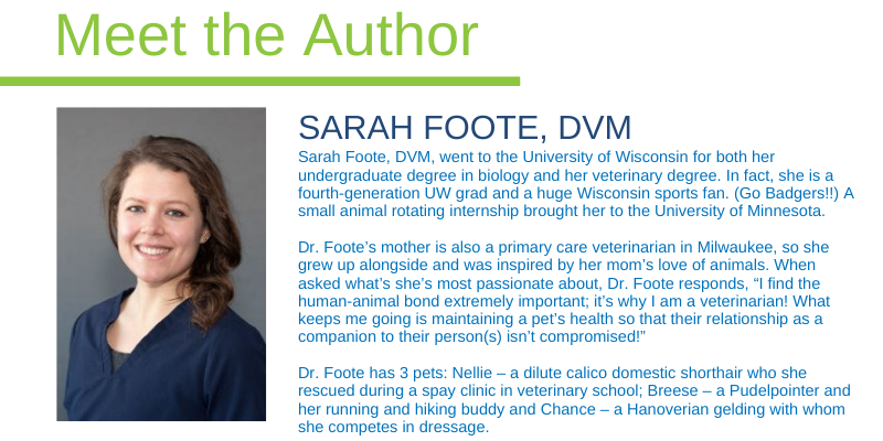 Animal Emergency & Referral Center of Minnesota, emergency veterinarian, Twin Cities animal emergency hospital, Twin Cities emergency care, pet emergency