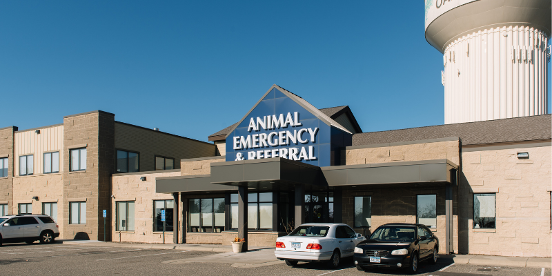 AERC, Oakdale facility, preventable pet emergencies, preventable pet ER visits, pet emergencies, Twin Cities emergency veterinarian, Twin Cities animal emergency hospital, ER vet, Animal Emergency & Referral Center of Minnesota, pet emergencies, common pet emergencies, Saint Paul emergency vet, oakdale emergency vet