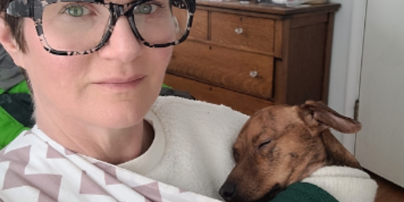 resources, reactive dogs, reactive dog tips, reactive dogs advice, Animal Emergency & Referral Center of Minnesota, pet health, pet safety, Twin Cities veterinary clinic, Twin Cities emergency vet