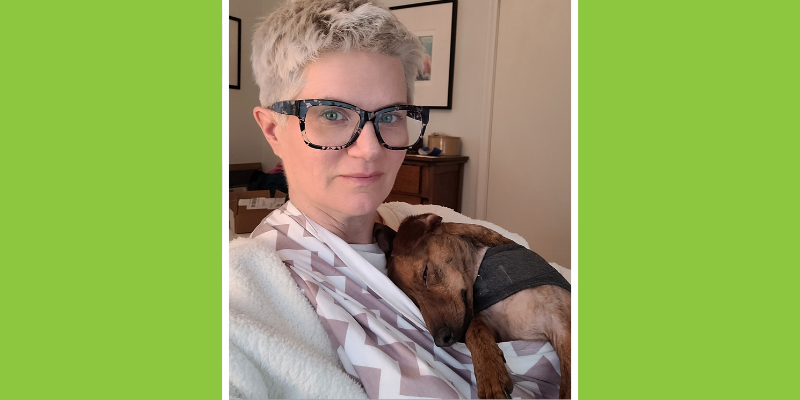 reactive dogs, reactive dog tips, reactive dogs advice, Animal Emergency & Referral Center of Minnesota, pet health, pet safety, Twin Cities veterinary clinic, Twin Cities emergency vet