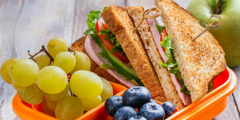 back to school supplies, pet toxins, pet health, pet safety, pet emergency, toxic school supplies, hazardous school supplies, school year, fall pet toxins, autumn pet toxins, Animal Emergency & Referral Center of Minnesota, Twin Cities emergency vet, Saint Paul emergency vet, Oakdale emergency vet