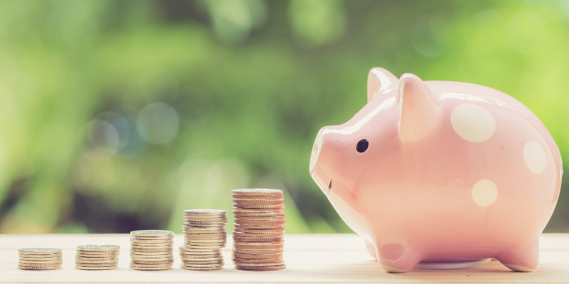 savings, piggy bank, why are veterinarians so busy, pet health, pet emergency, pet wellness, veterinary, veterinary medicine, veterinary care, veterinarians, pet care, pets, pet owners, Animal Emergency & Referral Center of Minnesota, Twin Cities veterinary, Minnesota veterinary, Twin Cities emergency vet, Saint Paul emergency vet, Oakdale emergency vet