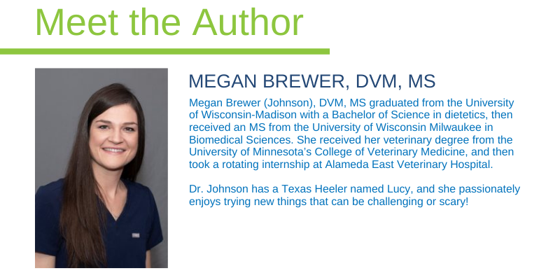 Megan Brewer, DVM, Megan Johnson, DVM, Animal Emergency & Referral Center of Minnesota, emergency veterinarian