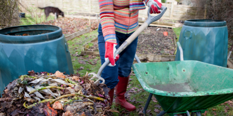 compost piles, compost pile pet dangers, tremorgenic mycotoxin, moldy food, mold toxicity, tremorgenic mycotoxins, tremorgenic mycotoxin intoxication, pet health, pet toxins, pet dangers, pet hazards, emergency vet, ER vet, Animal Emergency & Referral Center of Minnesota, pet emergency, Twin Cities emergency vet, Saint Paul emergency vet, Oakdale emergency vet