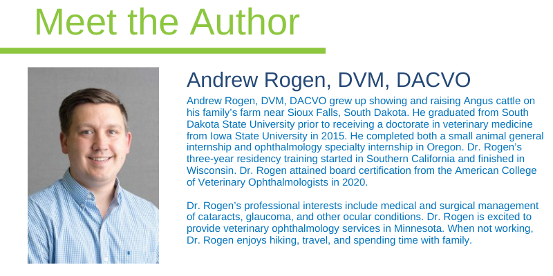 Andrew Rogen, DVM, DACVO, board-certified veterinary ophthalmologist, Twin Cities veterinary ophthalmology, Minnesota veterinary ophthalmology, Saint Paul veterinary ophthalmology, Oakdale veterinary ophthalmology, Minnesota board-certified veterinary ophthalmologist, Midwest board-certified veterinary ophthalmologist, Twin Cities board-certified veterinary ophthalmologist, Saint Paul board-certified veterinary ophthalmologist, Minneapolis board-certified veterinary ophthalmologist, AERC Ophthalmology Service, pet Ophthalmology, veterinary Ophthalmology, Animal Emergency & Referral Center of Minnesota 