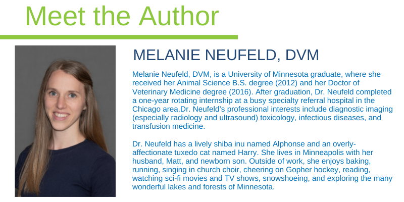 Melanie Neufeld, DVM, Animal Emergency & Referral Center of Minnesota