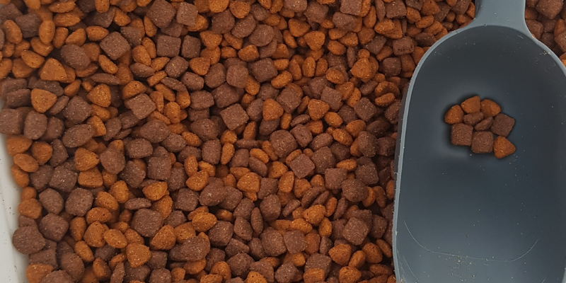 kibble, dog kibble, dog food, food bloat, food bloat in pets, pet health, pet safety, emergency vet, er vet, Animal Emergency & Referral Center of Minnesota, my pet got into his food bag, pet emergency, Twin Cities emergency vet, Saint Paul emergency vet, Oakdale emergency vet, pet owners pet parents, pet emergency