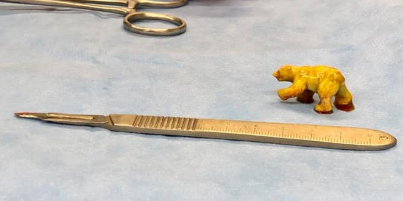 foreign body, pet surgeries, AERC Surgery Service, most common pet surgeries, board-certified veterinary surgeon, Animal Emergency & Referral Center of Minnesota, pet surgeon, Twin Cities pet surgeon, Minnesota pet surgeon, pet health, veterinary surgery