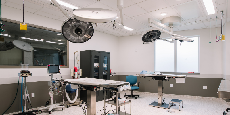 surgery suite, pet surgeries, AERC Surgery Service, most common pet surgeries, board-certified veterinary surgeon, Animal Emergency & Referral Center of Minnesota, pet surgeon, Twin Cities pet surgeon, Minnesota pet surgeon, pet health, veterinary surgery