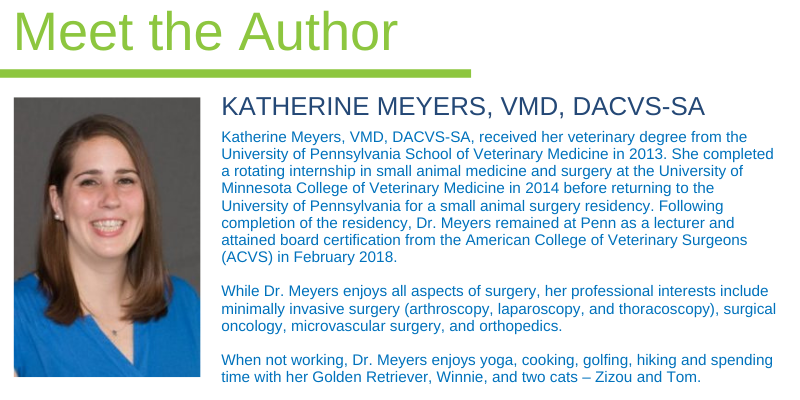 Katherine Meyers, VMD, DACVS-SA