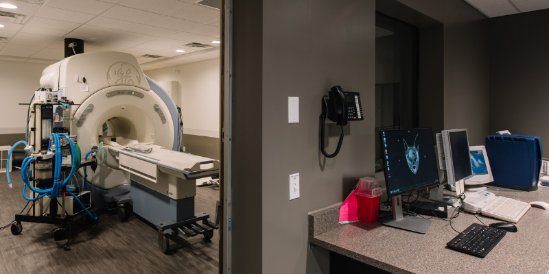 MRI, veterinary MRI, Neurology, veterinary Neurology, board-certified veterinary neurologist, pet health, pets, Animal Emergency & Referral Center of Minnesota, Neurology Service, diagnosing neurologic problems in pets, neurologic symptoms, neurologic problems, veterinary neurology, neurology for pets