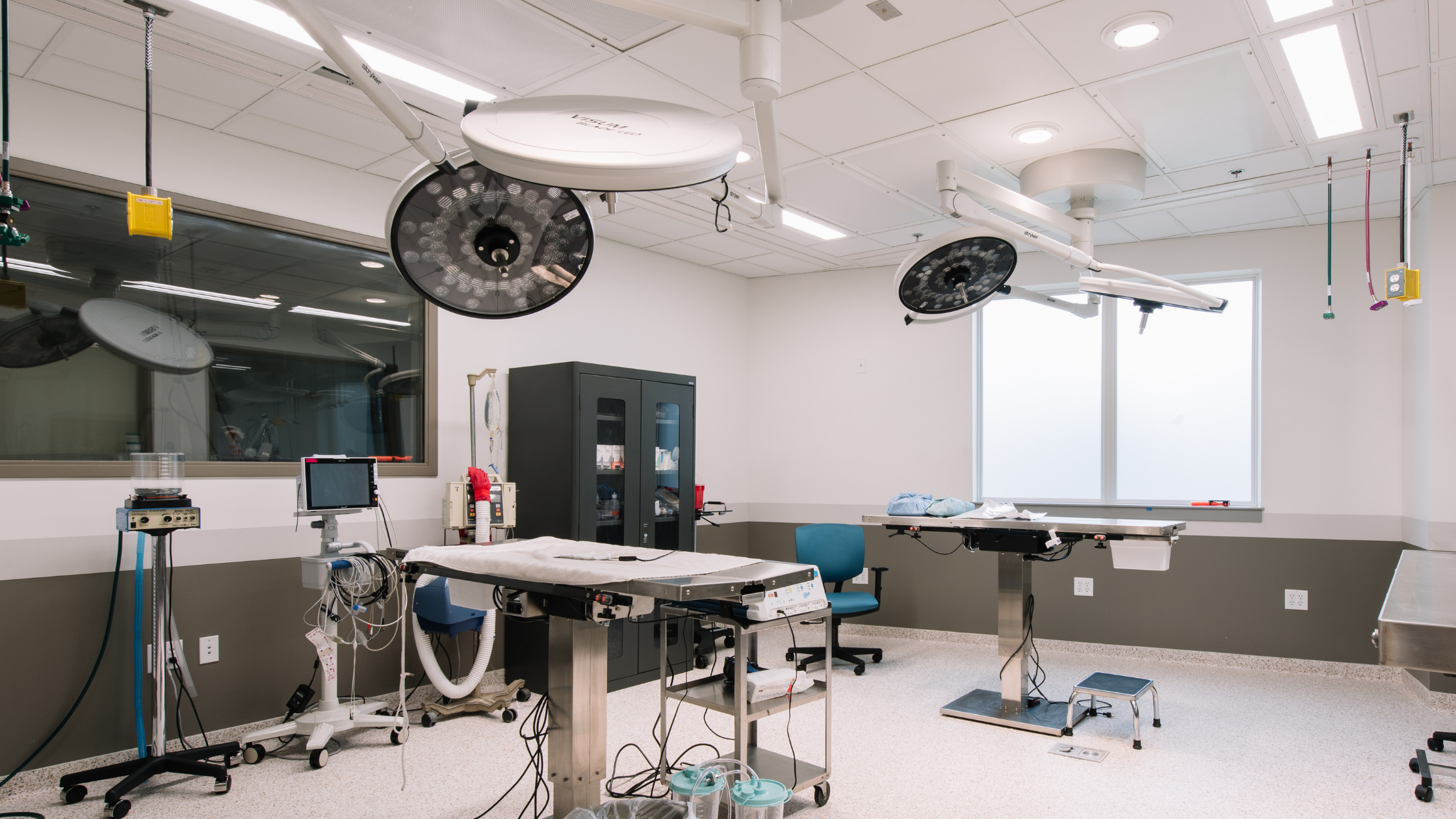 5 Most Common Pet Surgeries at AERC