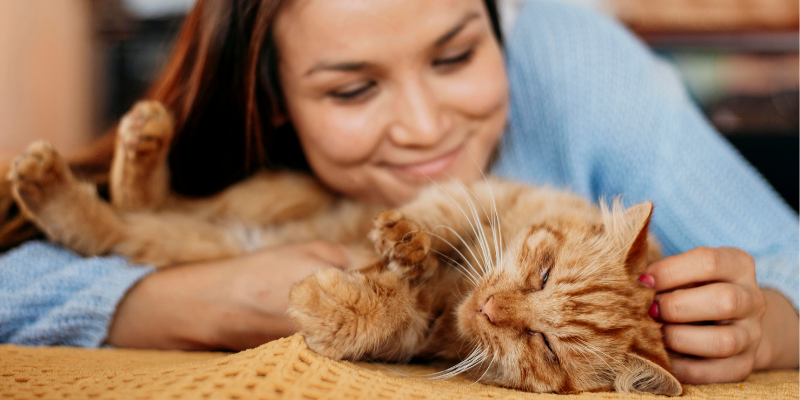 top blogs, pet blogs, pet health blog, pet health blogger, Twin Cities blogger, Minnesota blogger, Animal Emergency & Referral Center of Minnesota, Twin Cities emergency vet, Minnesota emergency vet, Twin Cities specialty veterinary referral center, Minnesota specialty veterinary referral center